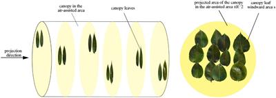 Model construction and validation of airflow velocity attenuation through pear tree canopies